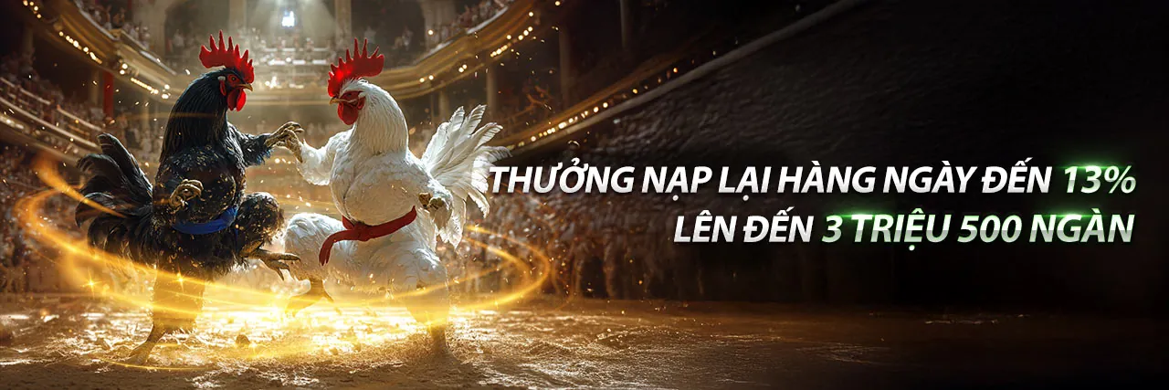 Đá Gà Trực Tuyến KIM88 WIN