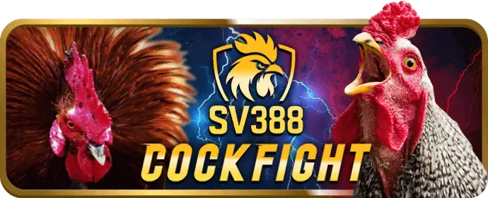 Cá cược thể thao sôi động với nhiều giải đấu tại Kim88 Win